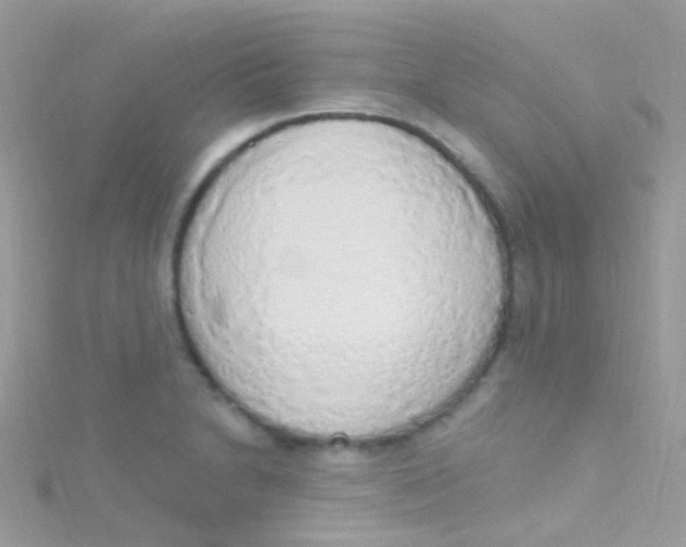 X0000115421230200911241341