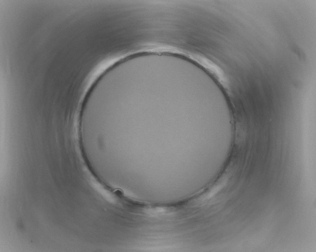 X0000115421231200911241341