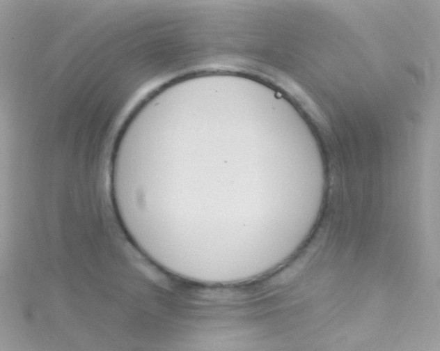 X0000115421232200911241341