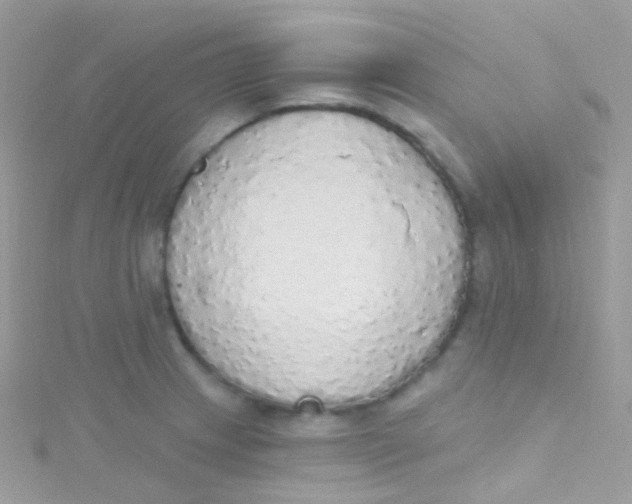 X0000115421233200911241341