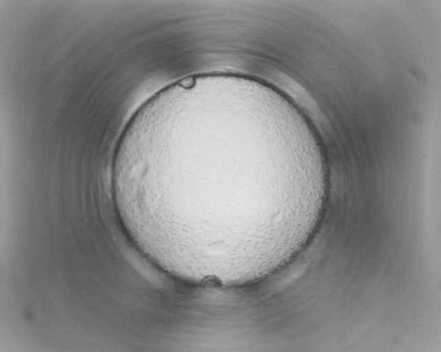 X0000115421234200911241341