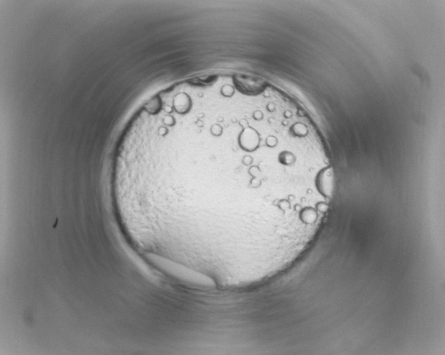 X0000115421235200911241341