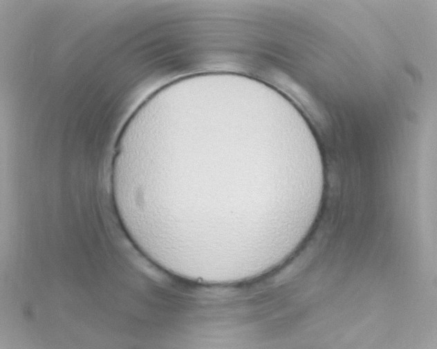 X0000115421236200911241341