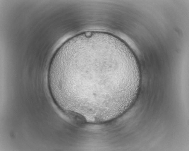 X0000115421237200911241341