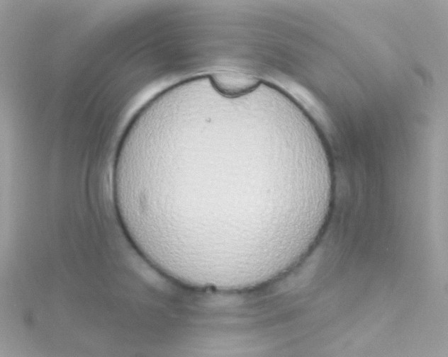 X0000115421238200911241341