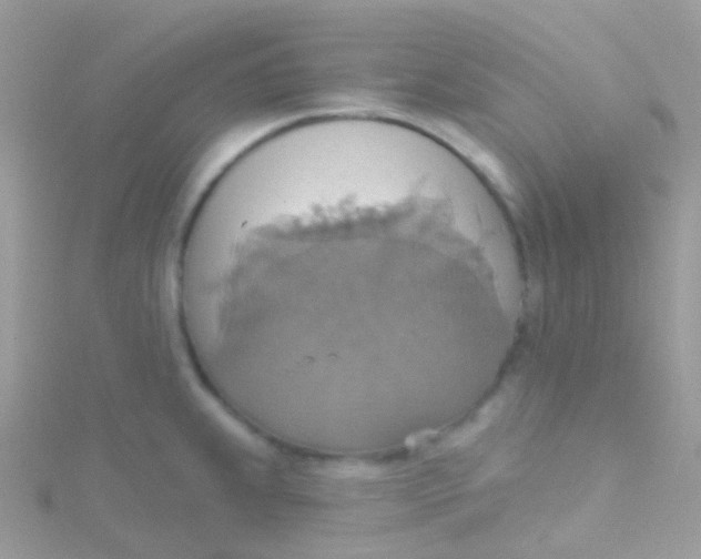 X0000115421239200911241341