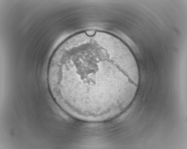 X0000115421240200911241341