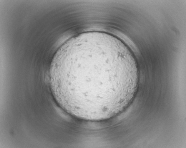 X0000115421241200911241341