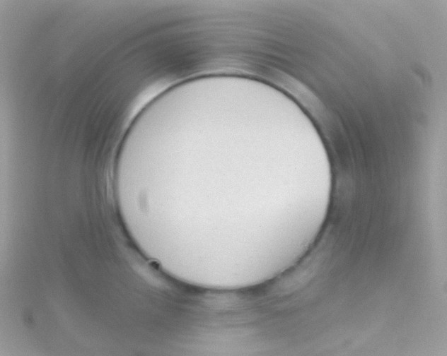 X0000115421242200911241341