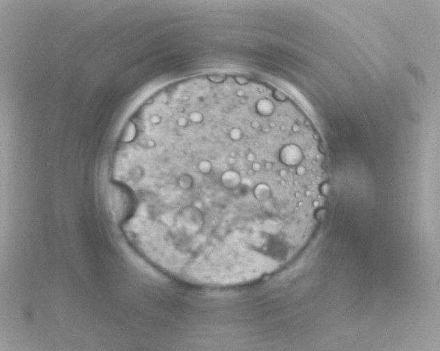 X0000115421243200911241341