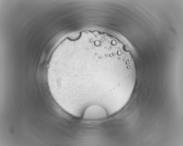 X0000115421244200911241341