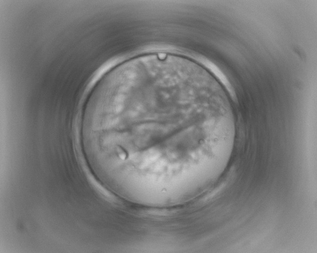 X0000115421245200911241341