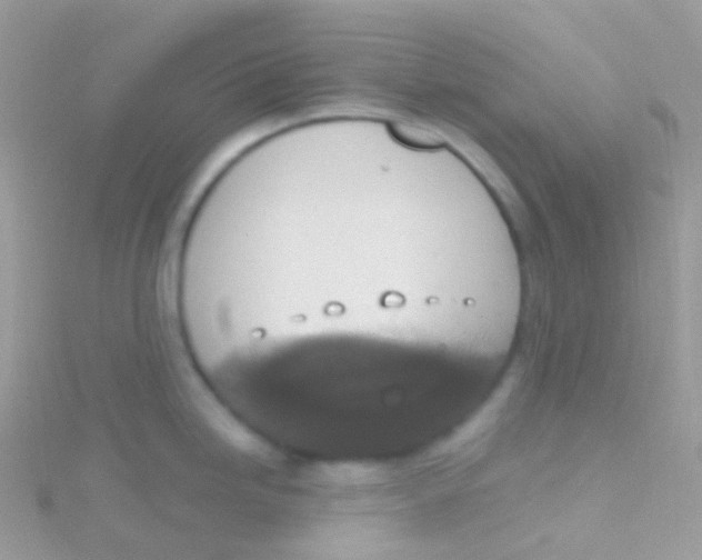 X0000115421246200911241341