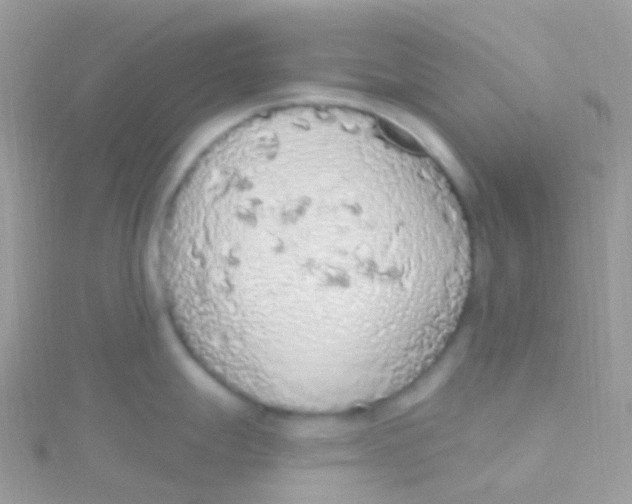 X0000115421247200911241341