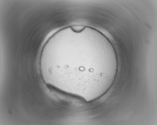 X0000115421248200911241341