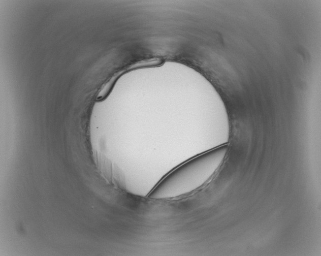 X0000115421249200911241341