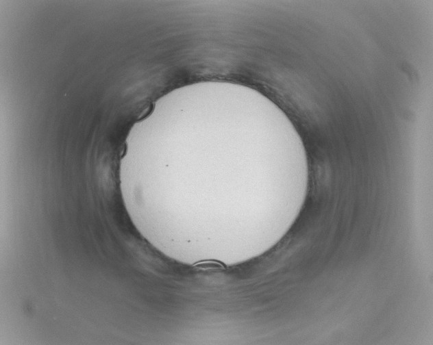 X0000115421250200911241341