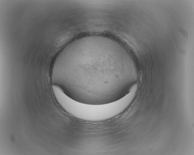 X0000115421252200911241341