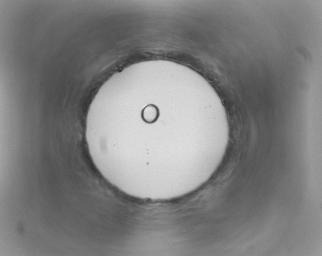 X0000115421253200911241341