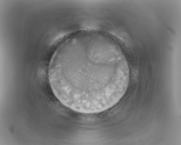 X0000115421254200911241341