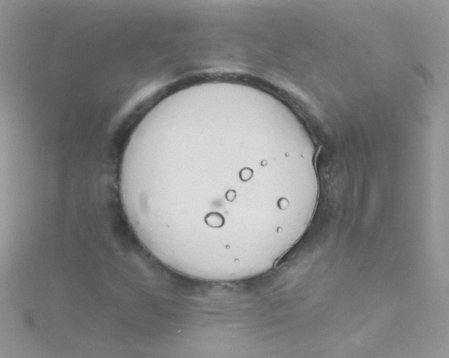 X0000115421255200911241341