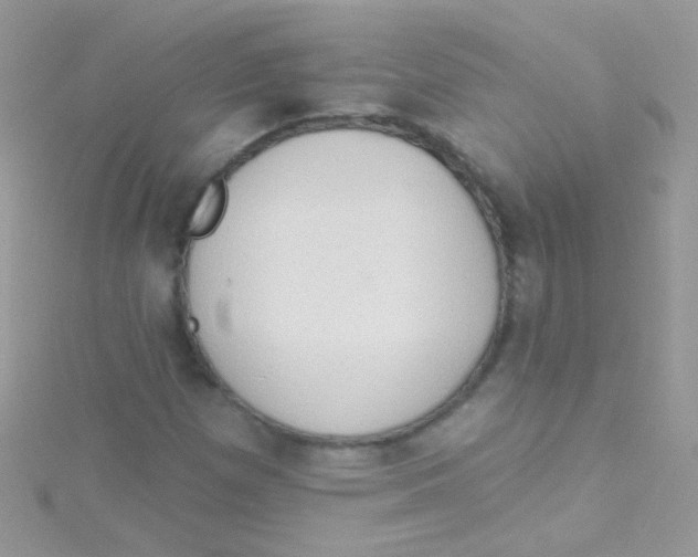 X0000115421257200911241341