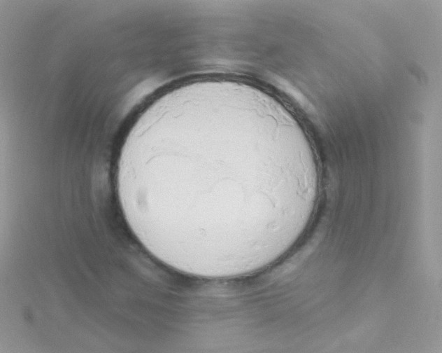 X0000115421259200911241341