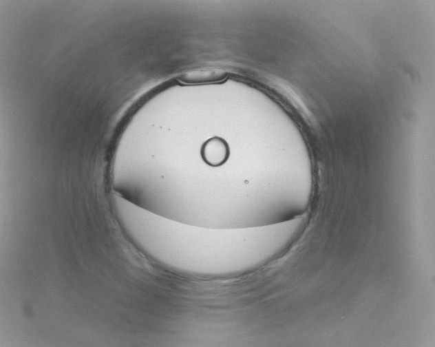 X0000115421260200911241341