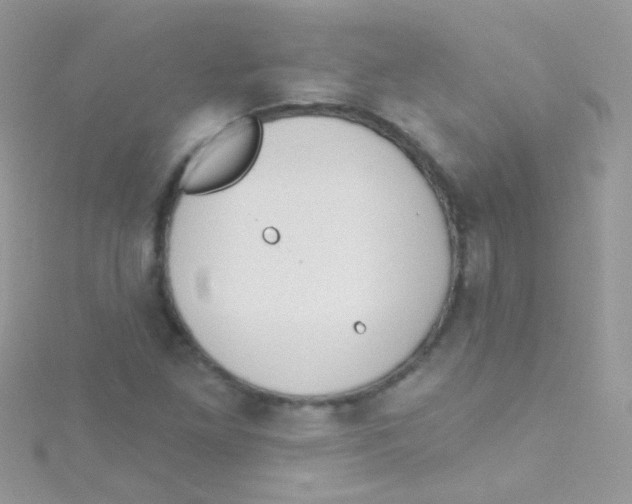 X0000115421261200911241341