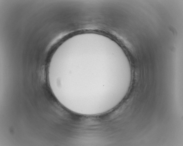 X0000115421262200911241341