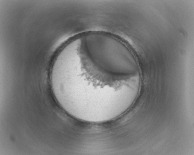 X0000115421263200911241341