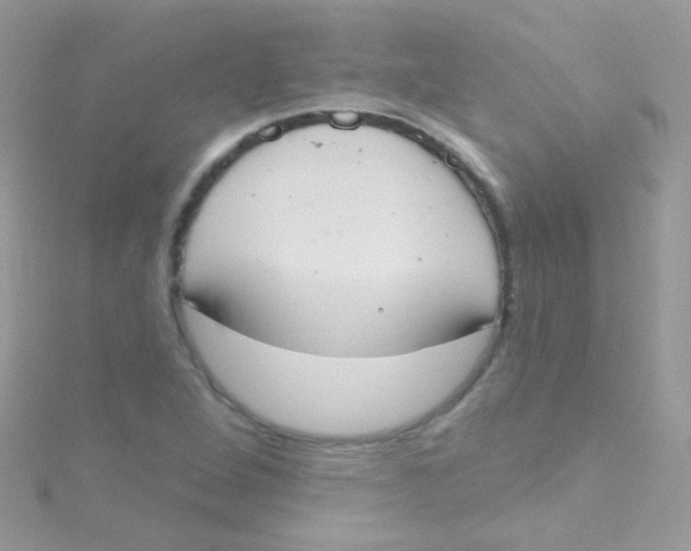 X0000115421264200911241341