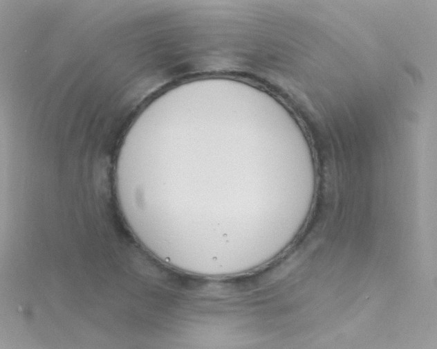 X0000115421265200911241341