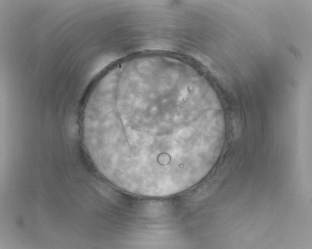 X0000115421266200911241341