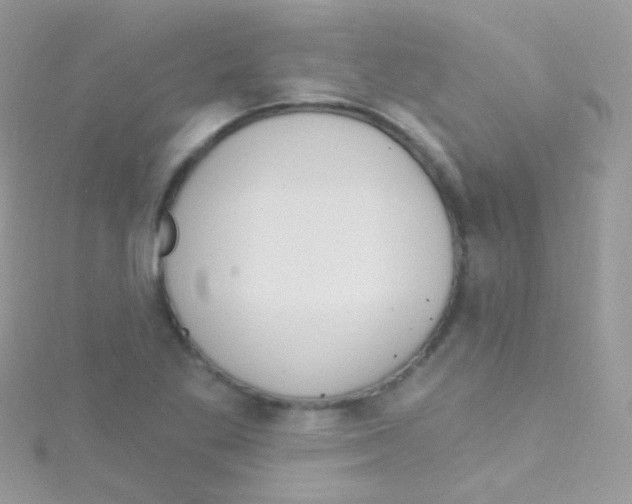 X0000115421269200911241341