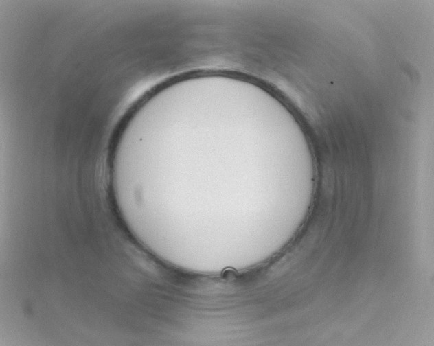 X0000115421270200911241341