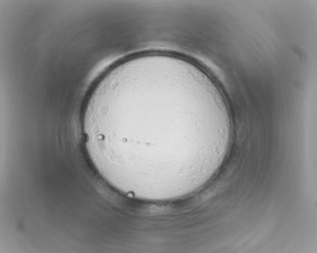 X0000115421271200911241341