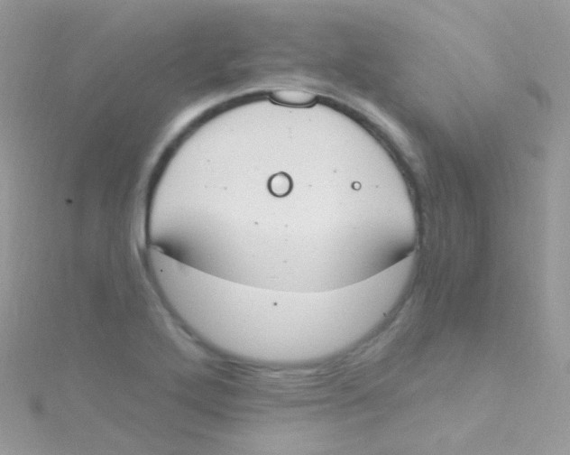 X0000115421272200911241341