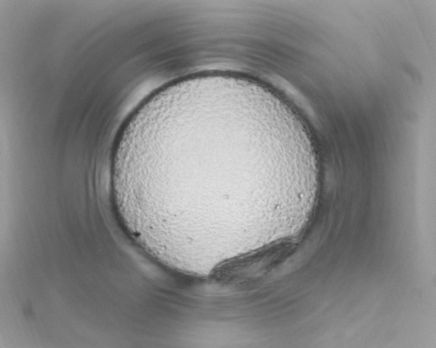 X0000115421274200911241341