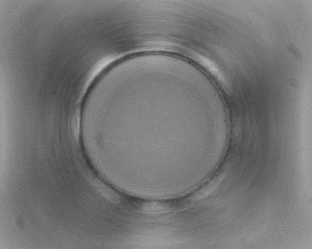 X0000115421275200911241341