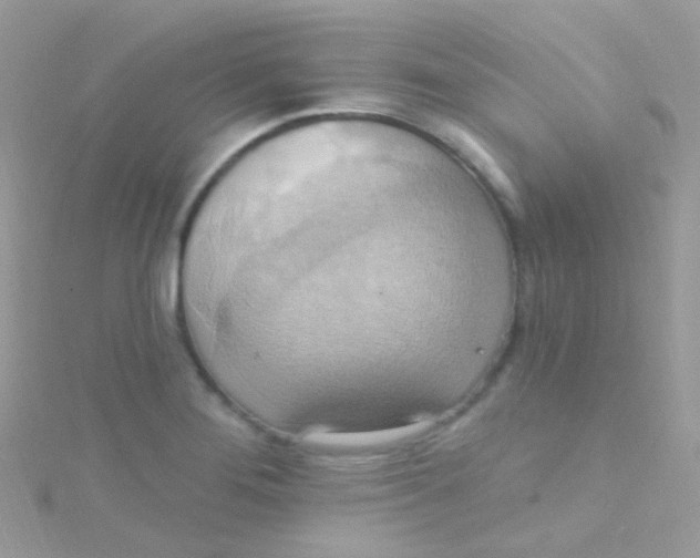 X0000115421276200911241341