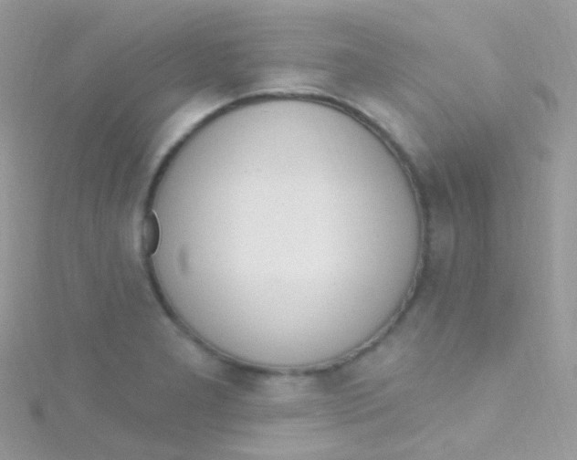 X0000115421277200911241340