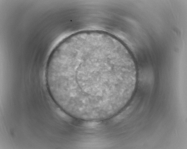 X0000115421278200911241340