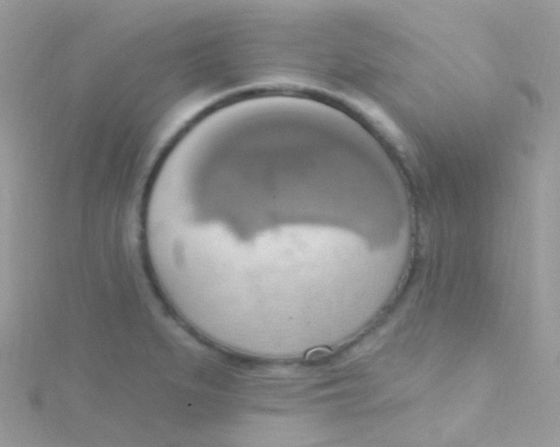 X0000115421279200911241340