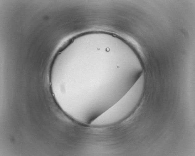 X0000115421280200911241340