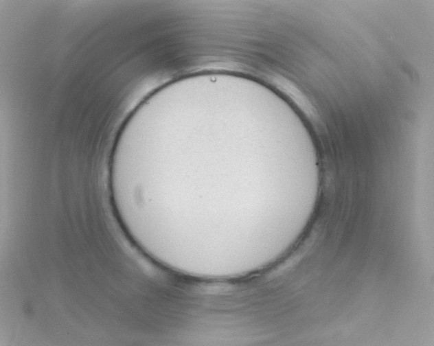 X0000115421282200911241340