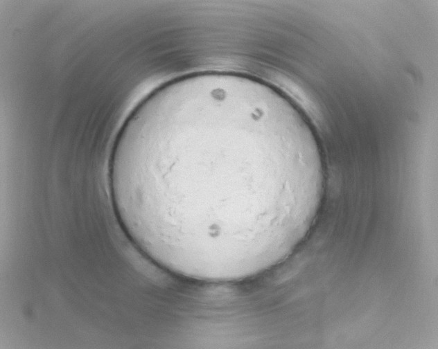 X0000115421283200911241340