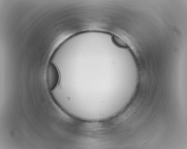 X0000115421285200911241340