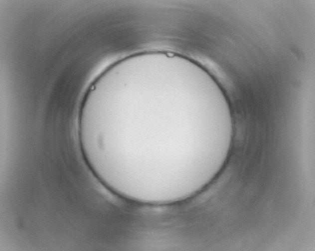 X0000115421286200911241340