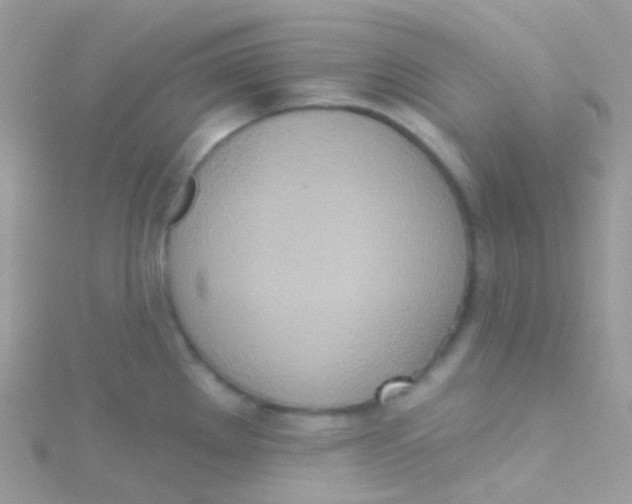 X0000115421289200911241340